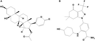 Elucidation of the Differences in Cinobufotalin’s Pharmacokinetics Between Normal and Diethylnitrosamine-Injured Rats: The Role of P-Glycoprotein